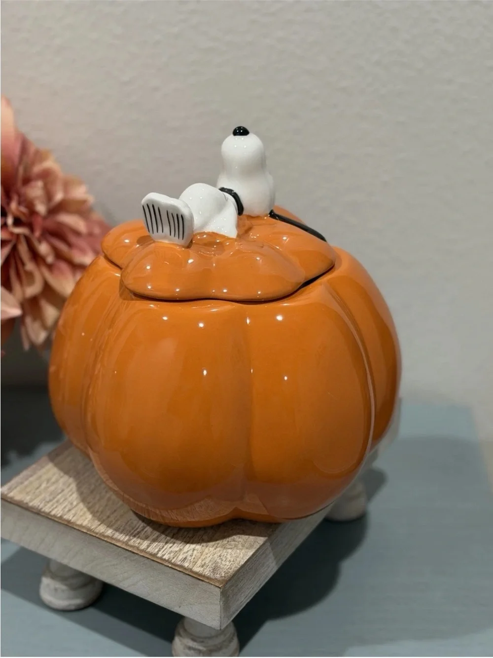 Rae Dunn x Peanuts Snoopy's Snacks Halloween Pumpkin Cookie Jar. Pet Treats